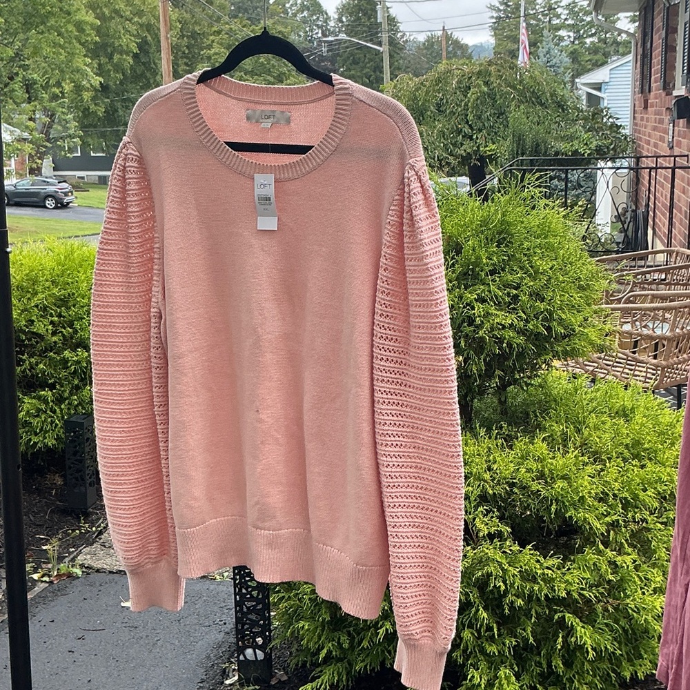 LOFT Men's Crewneck Sweater in Soft Pink